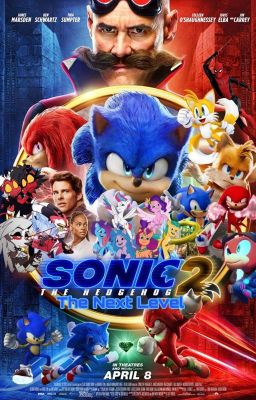 Sonic Into The Sonic Movie 2: The Next Level cover