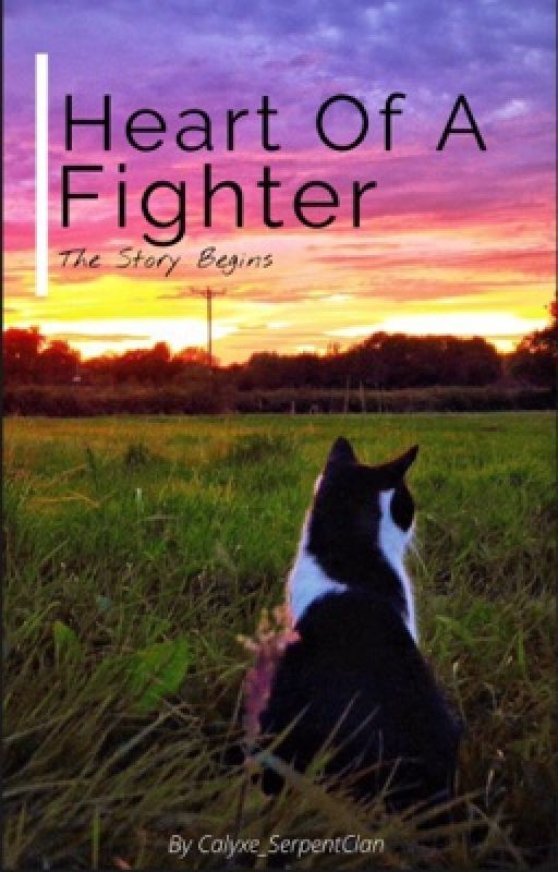 Heart Of A Fighter (Book 1): The Story Begins by Stormfast_Studios