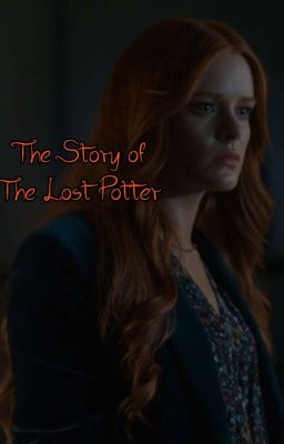 The Story of The Lost Potter  cover