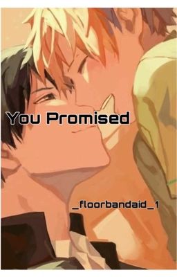 You Promised // Kagehina cover