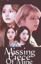 Missing Piece Of Mine (JeongTzu ft. SaiDa FanFic) [ENGLISH] by LolaJoStory