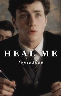 HEAL ME | JAMES POTTER cover