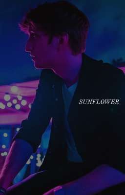 Sunflower cover