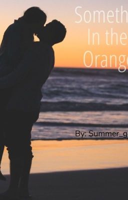 Something In The Orange cover