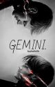 Gemini (Supernatural Rewrite Sam x Reader x Dean) by ghostbellie