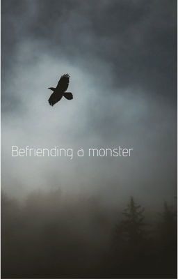 Wings of fire Book one: Befriending a monster. cover