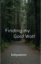 Finding my Gold Wolf by kellyann001