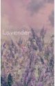 Lavender by weirdorandolmao