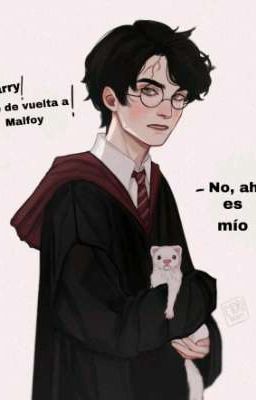 ¡Harry, devuelve a Draco! cover