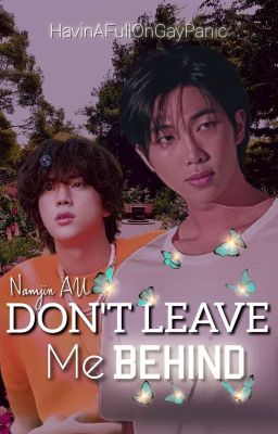 Don't Leave Me Behind || Namjin AU cover