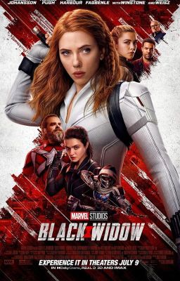 The Avengers watch Black Widow with the spies, SHIELD directors (Slow Updates) cover