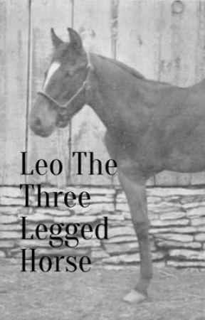 Leo The Three Legged Horse by Spirit_Vibez