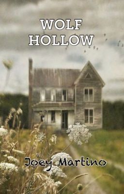 Wolf Hollow cover