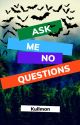 Ask me no questions... by kullman