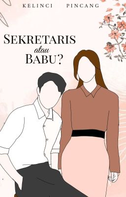 Sekretaris Atau Babu? [Proses Penerbitan]√ cover