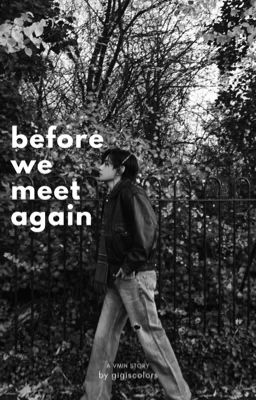 before we meet again cover