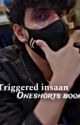 TRIGGERED INSAAN ONESHOT book by triggukinoni