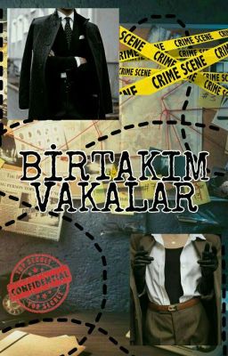 BİRTAKIM VAKALAR cover