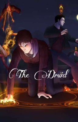 The Druid cover