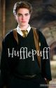 Hufflepuff by ChelseaFlynn8