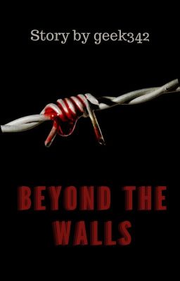 Beyond The Walls (NOW ON AMAZON!!!) cover