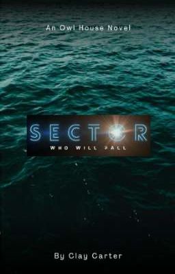 Sector cover