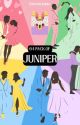 64 Pack of Juniper by novellacinderella