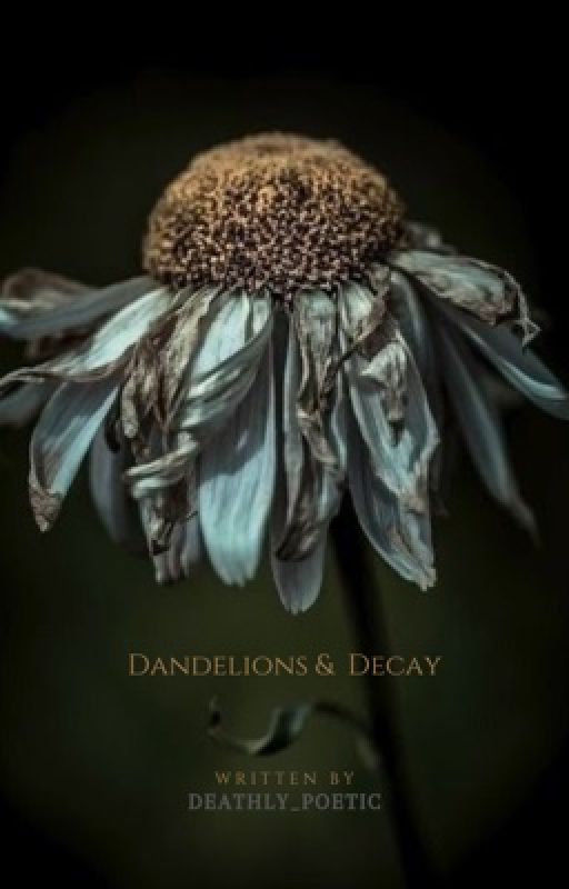 DANDELIONS & DECAY ⸺ AEMOND TARGARYEN by deathly_poetic