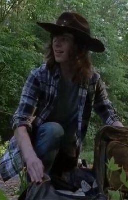 Carl grimes  x male reader season 1 cover