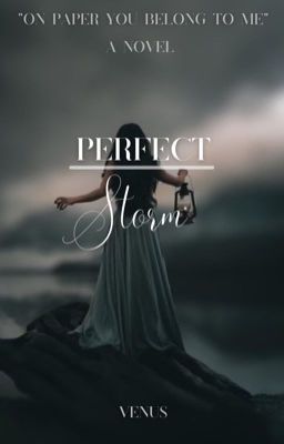 Perfect Storm  cover