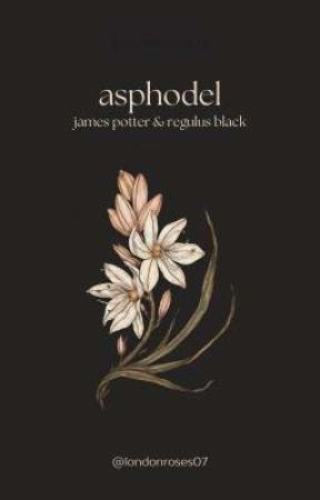 asphodel | james potter & regulus black by londonroses07