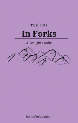 The Boy in Forks cover