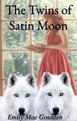 The Twins of Satin Moon cover