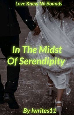 In The Midst Of Serendipity  cover