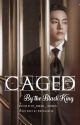 Caged by The Black King (Kim Taehyung x Female reader) by my_magical_thoughts