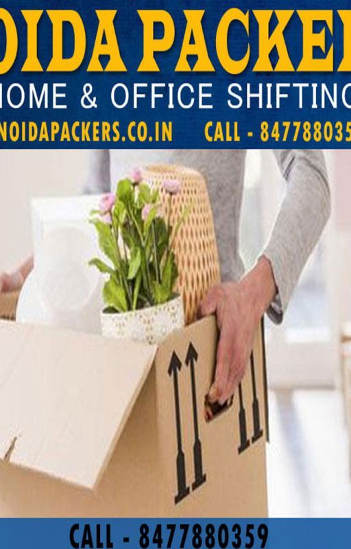 Professional Packers And Movers by noidapackers