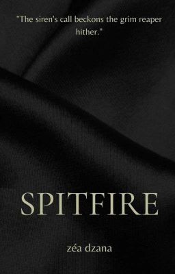 SPITFIRE (Book #2 Of Fire Series) cover