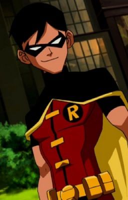 Dick Grayson (Young Justice Fan Fiction) cover