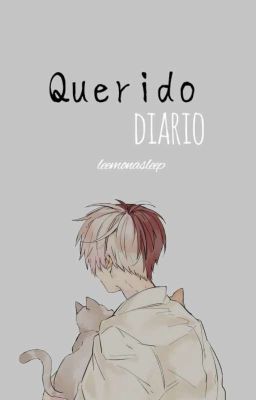 Querido diario | Seroroki cover