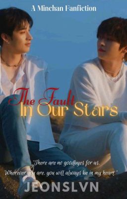 THE FAULT IN OUR STARS / MINCHAN (✓) cover