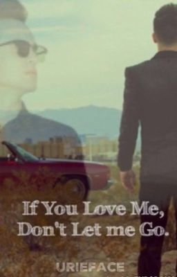 If you love me, don't let me go (Brendon Urie Fanfiction) cover