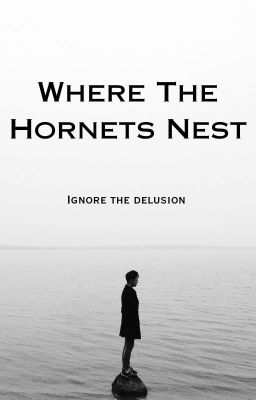 Where The Hornets Nest cover