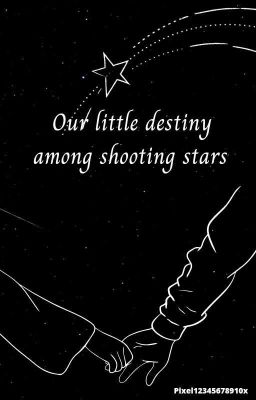 Our Little Destiny Among Shooting Stars   cover