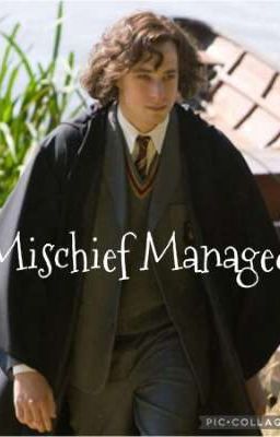 Book One: Mischief Managed cover