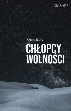 Stray Kids - chłopcy wolności /Porzucone/ by DiaSni17