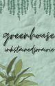 Greenhouse || Xavier Thorpe x Male Reader by axiswritessometimes