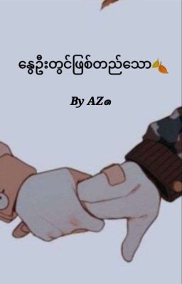 နွေဦးတွင်ဖြစ်တည်သော(Complete) cover