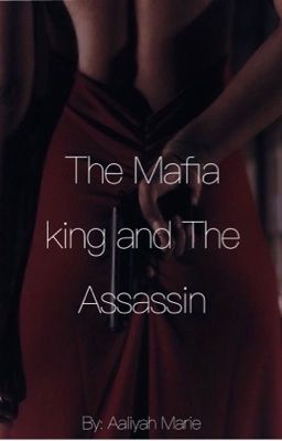 The Mafia King and The Assassin (book 1) cover