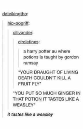 Gordon Ramsay teaching Hogwarts Students by Finne_dragonhalfling