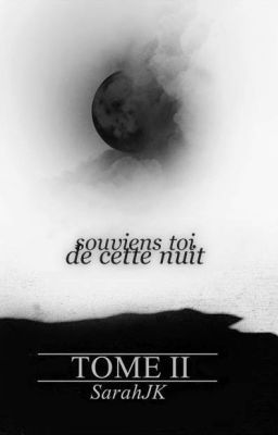 Souviens-toi de cette nuit T2 ( JUSTIN BIEBER FICTION ) cover